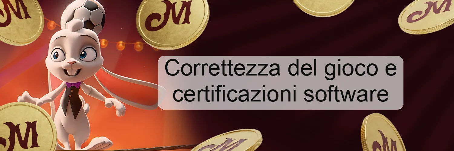 Correttezza del gioco e certificazioni software