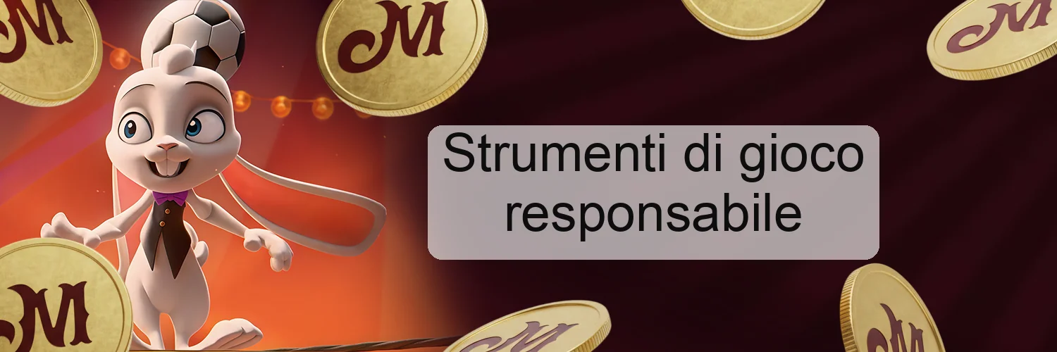 Strumenti di gioco responsabile